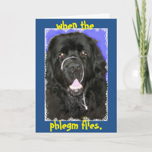 Carte Accueil - Terre-Neuve