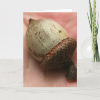 CARTE ACORN