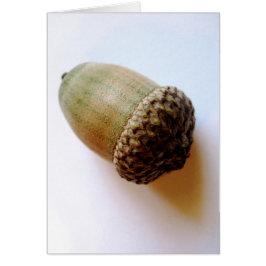 Carte Acorn Graines