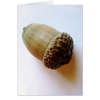 Carte Acorn Graines
