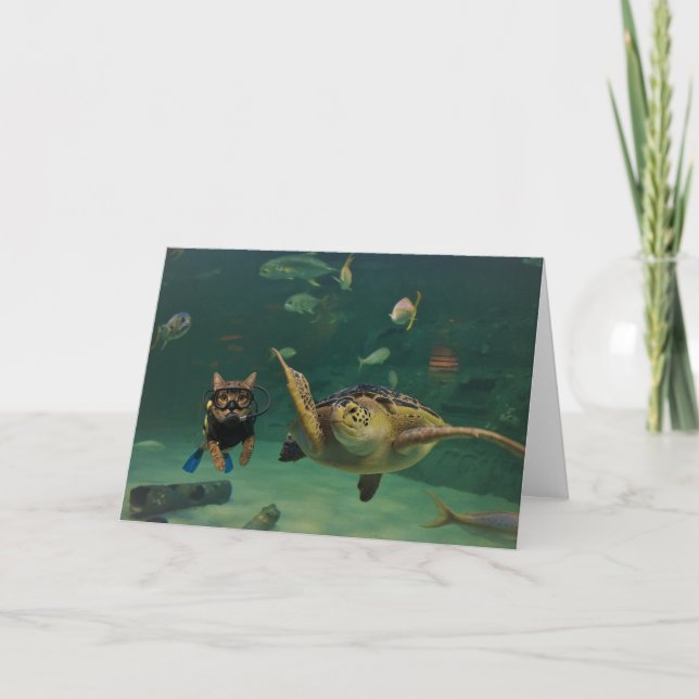 Carte Action Cats! Card (Devant)