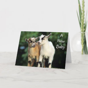 CARTE ADOPTION - AUCUNE FÉLICITATION DE RELIGIEUX!