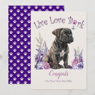 Carte Adoption de chien Cane Corso, journée Gotcha