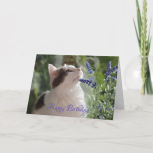 Carte Adorable Birthday Kitten in the Garden !
