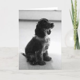 Carte Adorable Cocker Spaniel Greeting Card