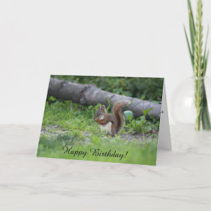 Carte Adorable écureuil assis dans l'herbe Anniversaire