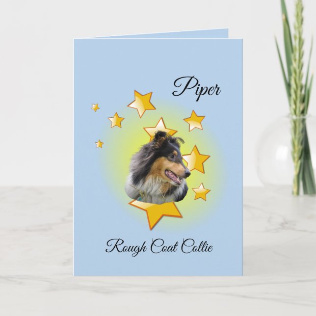 Carte Adorable Manteau bleu rond Collie est une étoile (Devant)