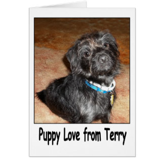 Carte adorable "Puppy Love From Terry"