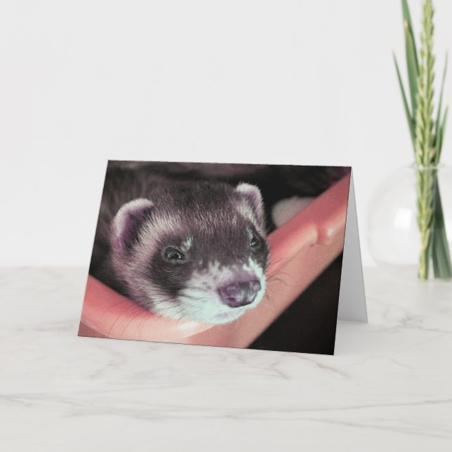 Carte Adorable Sable Ferret Photo Anniversaire (Devant)