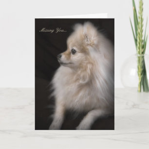 Carte Adorablement mignon Poser Pomeranian Chiot