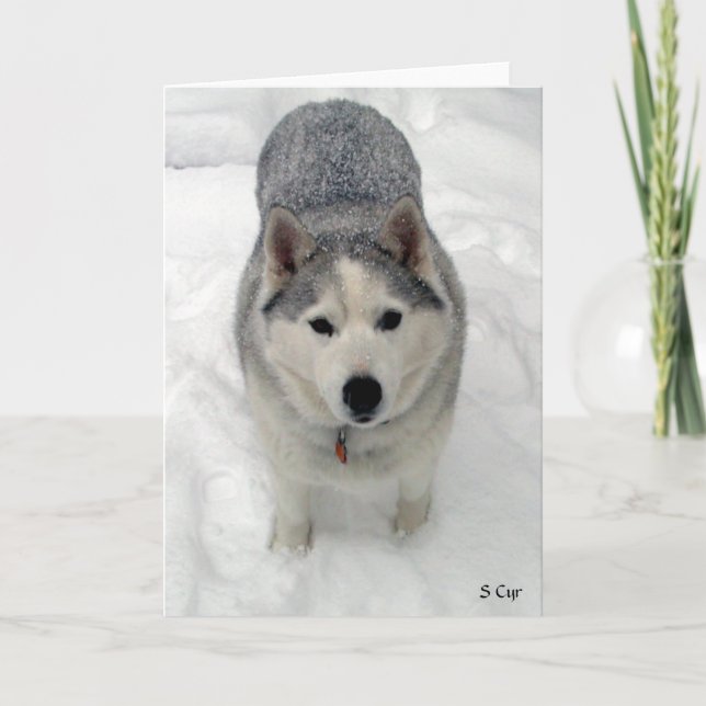 Carte Adoration totale, S Cyr (Devant)