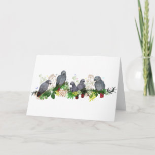 Carte African Grey Parrot Party