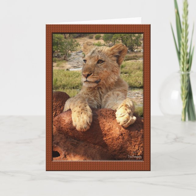 Carte African Proverb Greeting Cards (Devant)