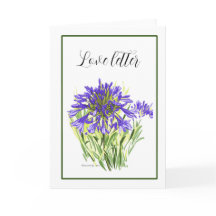 Carte Agapanthus