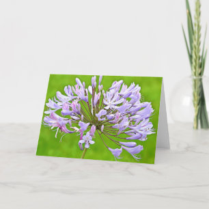 Carte Agapanthus Lily Ecriture Card 2 Corinthiens 4:15