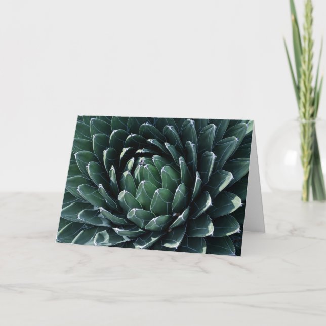 Carte Agave verte (Devant)