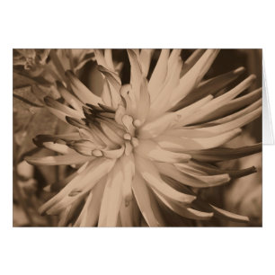 Carte âgée de photographie de fleur de dahlia de