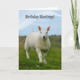 Carte Agneau mignon Bleut Anniversaire - Agneau En Champ