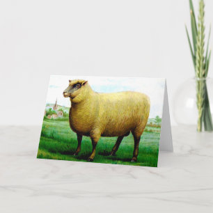 Carte agneau vintage peint vert pâturage