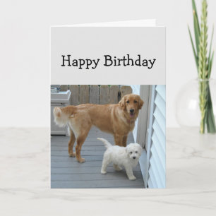 Carte Aidez-nous à manger du gâteau mignon humour chien
