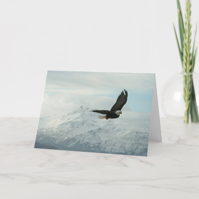 Carte Aigle chauve et montagnes (Devant)