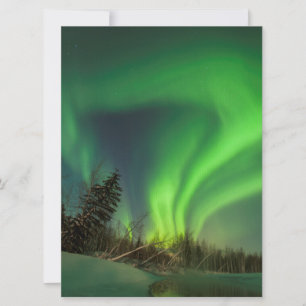 Carte Aiguille d'épinette