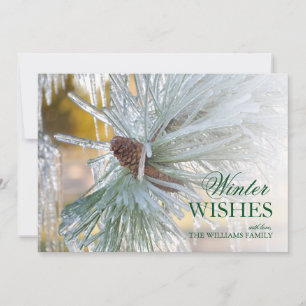 Carte aiguilles de pin encerclées dans la glace