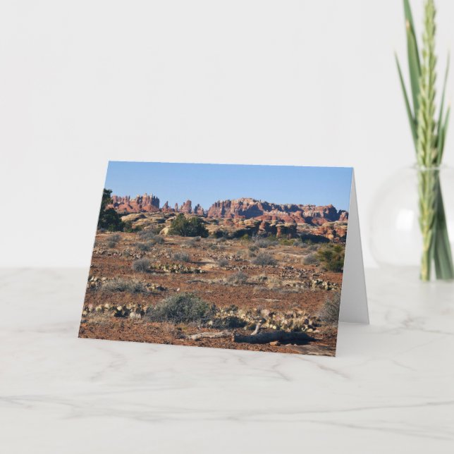 Carte Aiguilles du sentier Pothole Point aux Canyonlands (Devant)