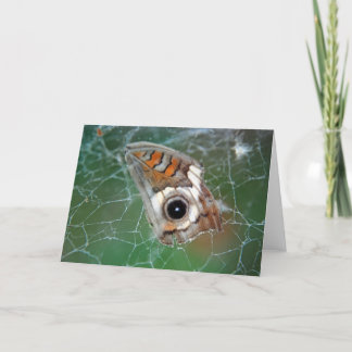 Carte Aile de papillon de Buckeye en toile d'araignée
