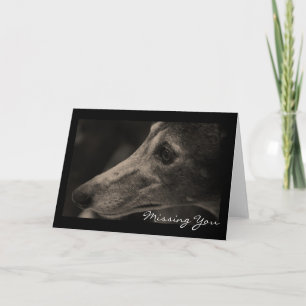 Carte Aimer Greyhound