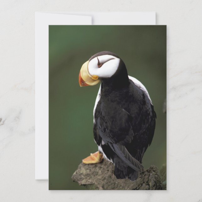 Carte Alaska Tampins (Devant)