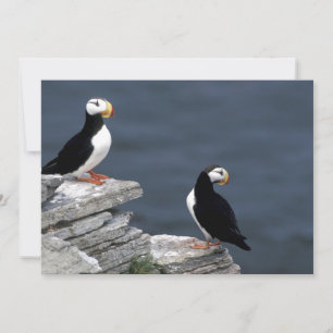 Carte Alaska Tampins