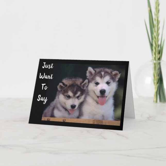 CARTE "ALASKAN MALAMUTE LES SOUHAITS D'ANNIVERSAIRE" (Devant)