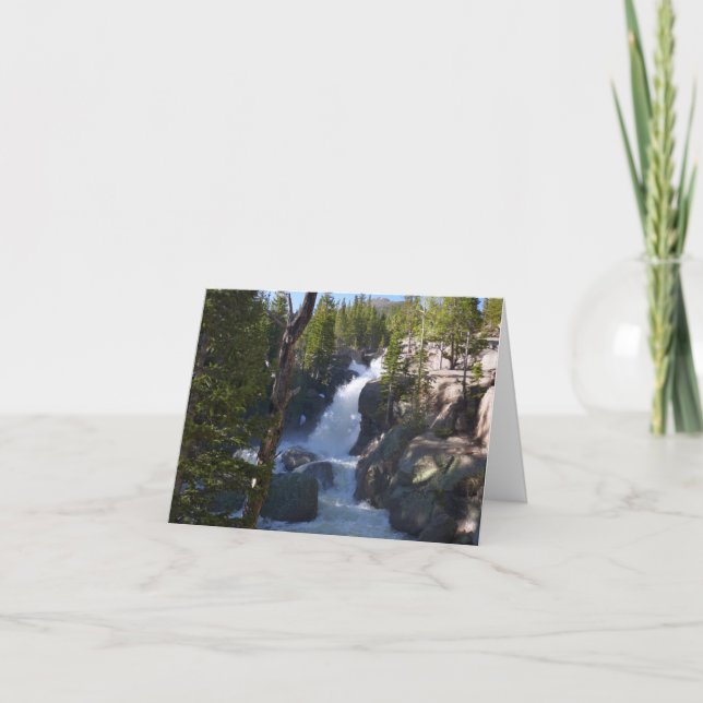 Carte Alberta Falls I (Devant)