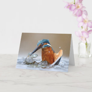 Carte Alcedo Atthis Kingfisher eau de chasse Luca Casale