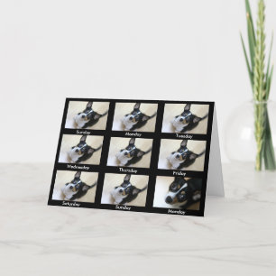 Carte Alcooliques anonymes "Continuez à revenir..."