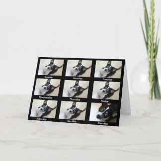 Carte Alcooliques anonymes "Continuez à revenir..."