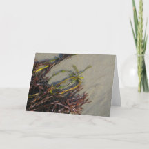 Algue de plage d'océan