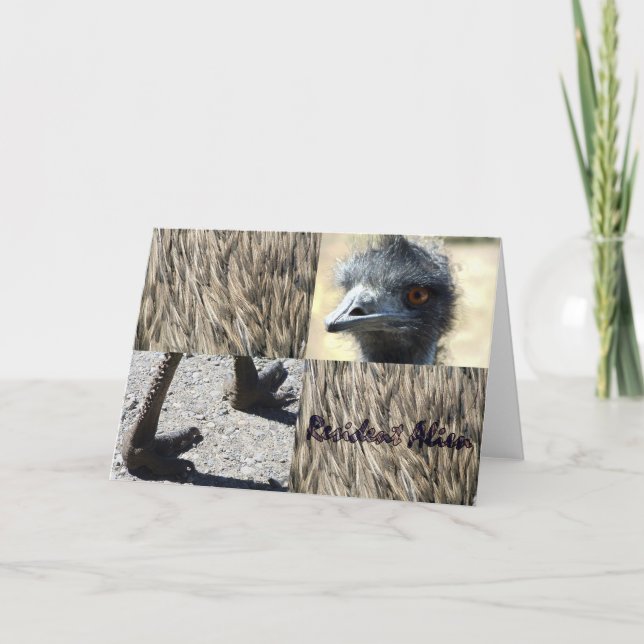 Carte Alien résident (Devant)