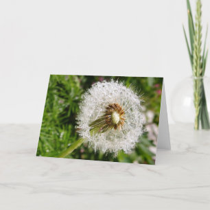 Carte Aller aux semences