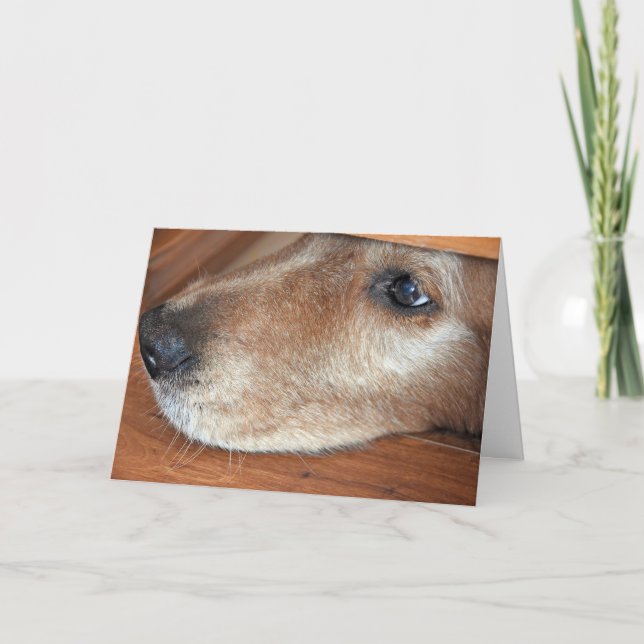Carte Allez Bien Bientôt Golden Retriever Peeers Sous La (Devant)