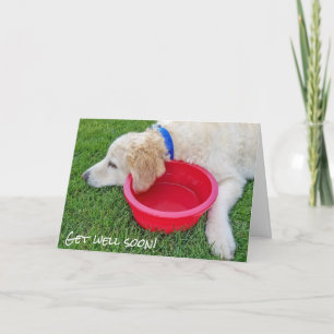 Carte allez-vous bien bientôt - chien avec bol d'eau rou