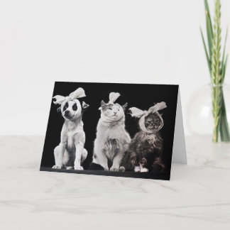 Carte Allez-y bientôt