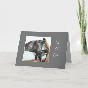Carte Allez-Y Bientôt Amusez-Vous Grand Chien Dane Humou