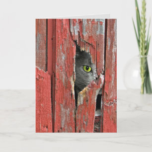 Carte Allez-y Chat bientôt