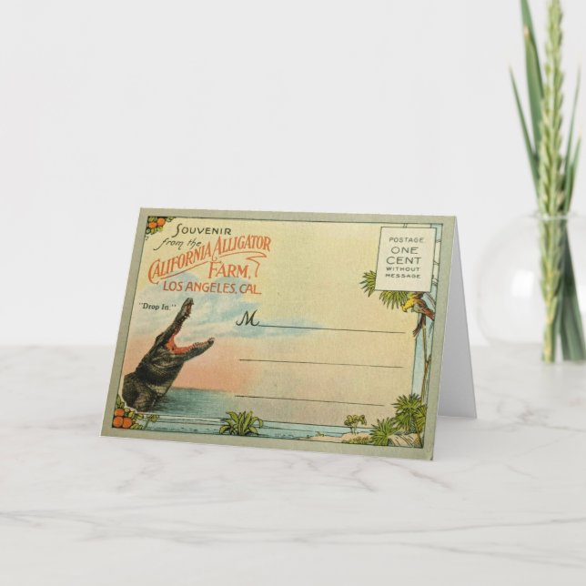 Carte Alligator californien (Devant)