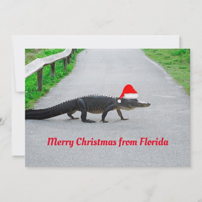 Carte Alligator Joyeux Noël de Floride drôle (Devant)