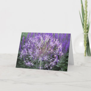 Carte Allium/Salvia