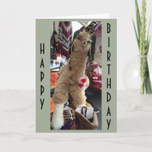 CARTE ALPACA DONNE DES "CONSEILS D'ANNIVERSAIRE" SUR LA 