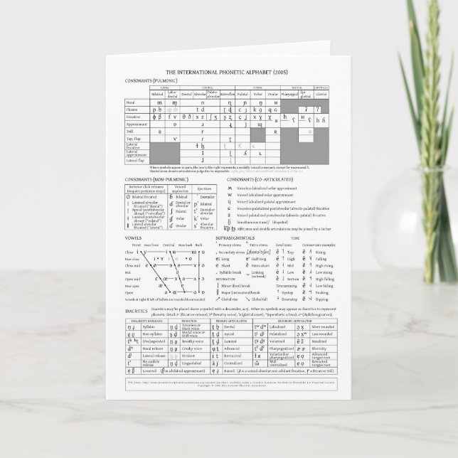 Carte Alphabet phonétique international (Devant)